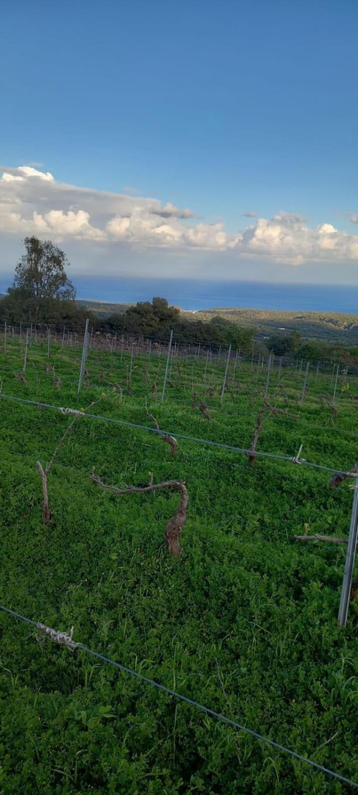 Agriturismo Su Tiresi Cala Gonone Εξωτερικό φωτογραφία