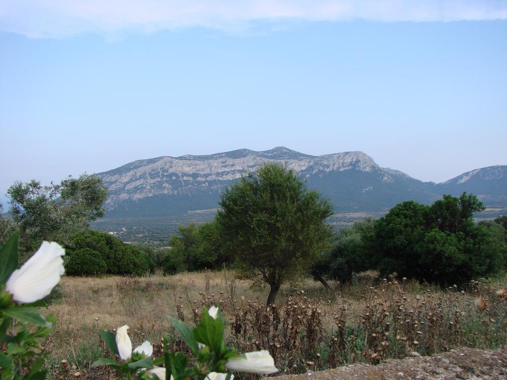 Agriturismo Su Tiresi Cala Gonone Εξωτερικό φωτογραφία
