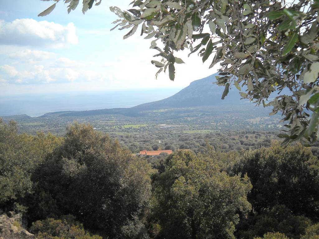 Agriturismo Su Tiresi Cala Gonone Εξωτερικό φωτογραφία