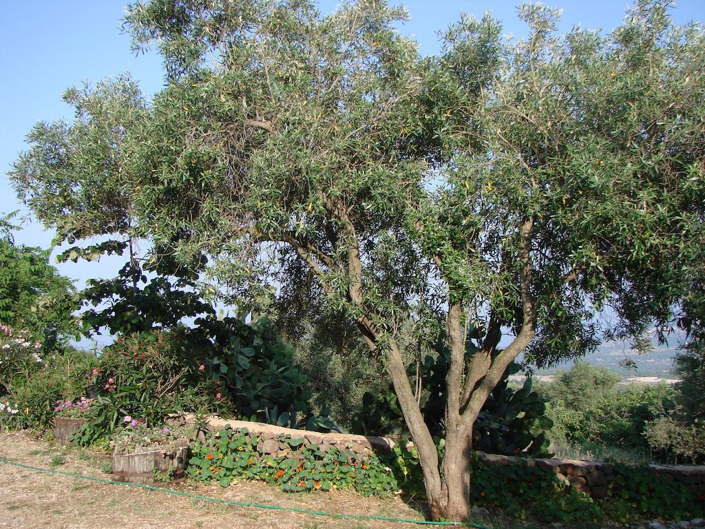 Agriturismo Su Tiresi Cala Gonone Εξωτερικό φωτογραφία