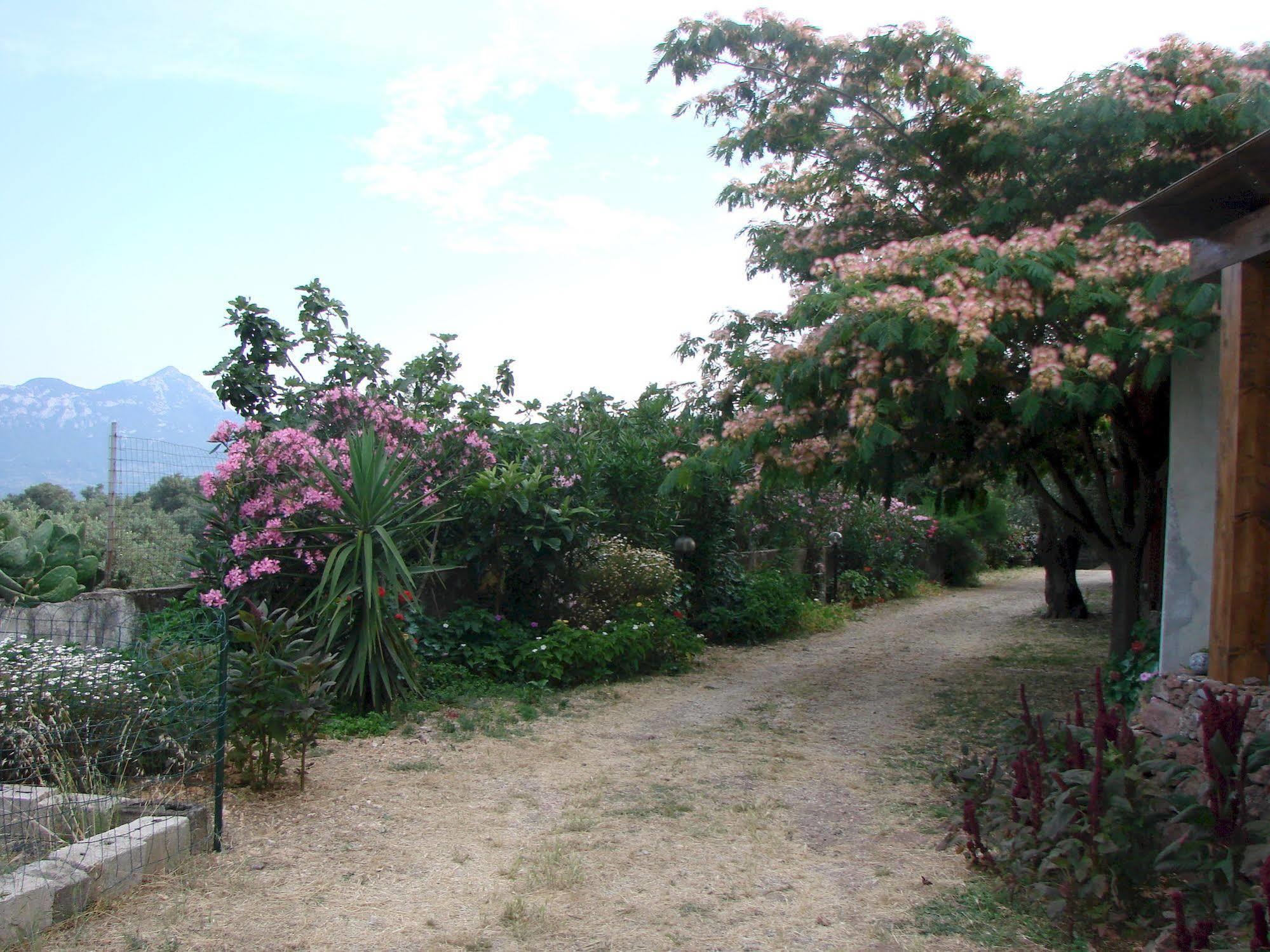 Agriturismo Su Tiresi Cala Gonone Εξωτερικό φωτογραφία